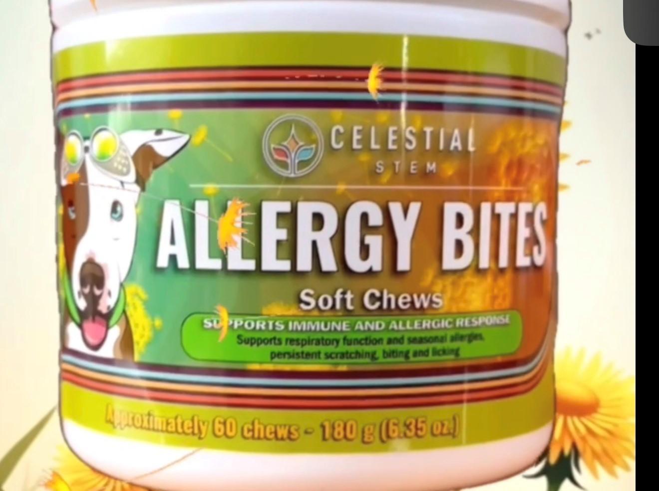 Natural Remedies for Dogs with Allergies | Certified Canine Herbalist Tips